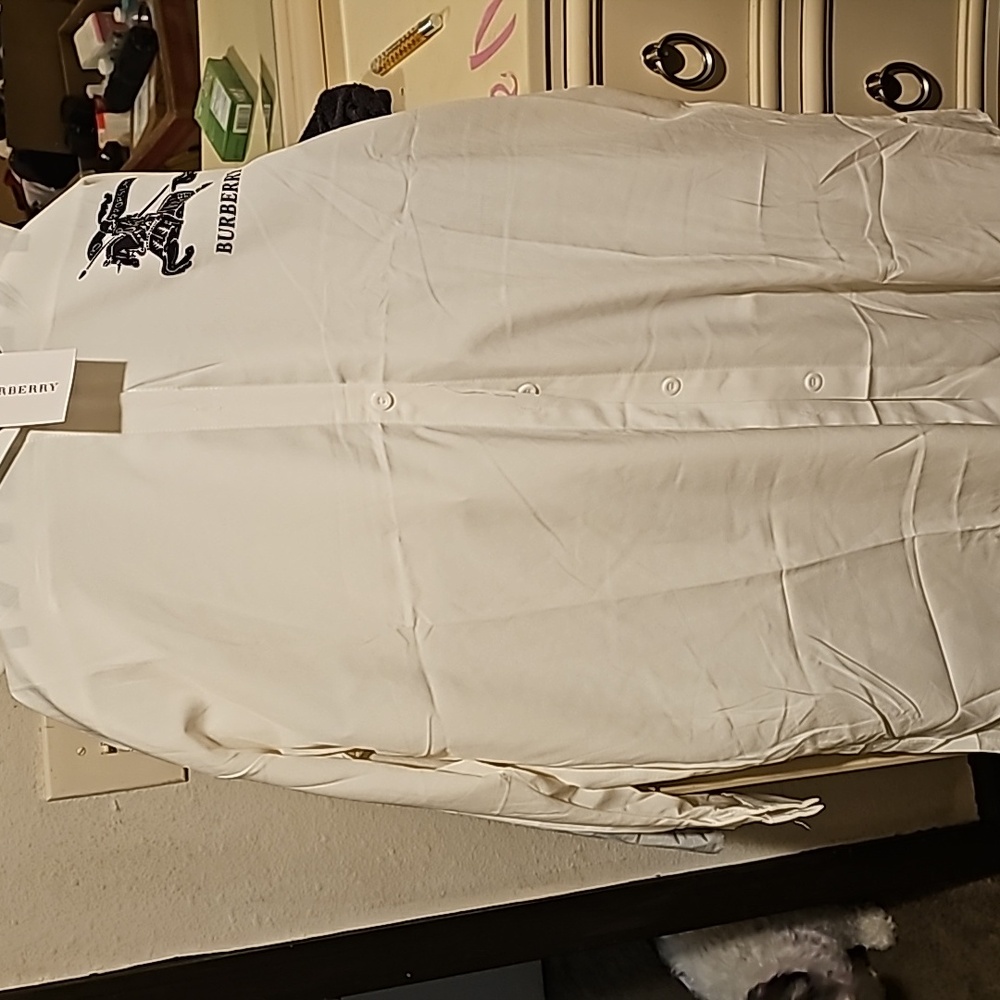 Shirt dress